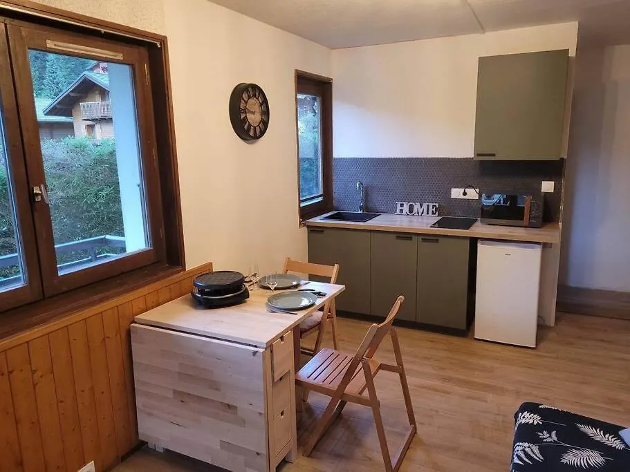 Studio Chatel Renove Et Lumineux Apartment